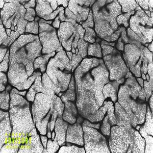 NIGHTLIFE (RAVIN' THROUGH THE NIGHT) (Explicit)