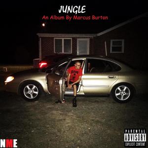 JUNGLE (Explicit)