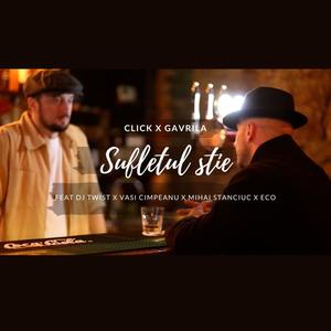 Sufletul stie (feat. Gavrila & Dj Twist)