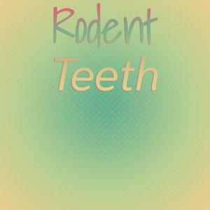 Rodent Teeth