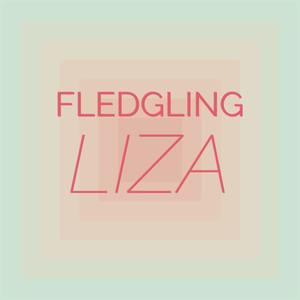 Fledgling Liza