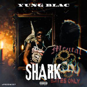 SHARK (Explicit)