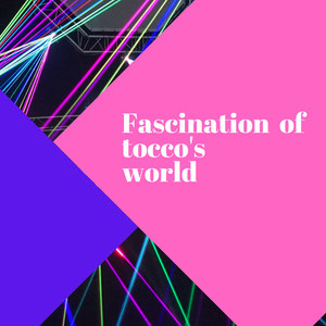 Fascination of tocco's world