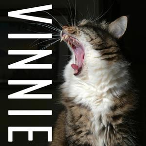 Vinnie (feat. Ash Tu-kay)