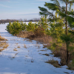 Chesapeake Bay PSA