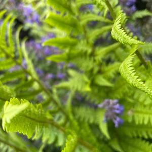 nothing happens except the electrical signals