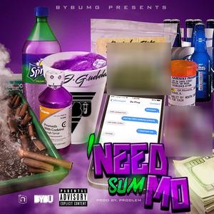 I Need Sum Mo (feat. Brick City & J.G.udda) [Explicit]