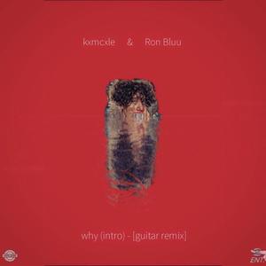 why (intro) (feat. Ron Bluu) [Guitar Version] [Explicit]