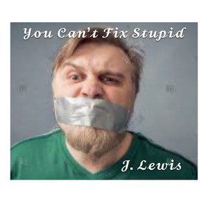You Can't Fix Stupid