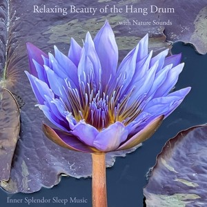 Relaxing Beauty of the Hang Drum with Nature Sounds