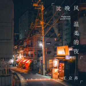 比晚风温柔的夜