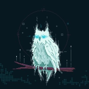 The Journey Of The White Owl