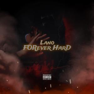 Forever Hard (Explicit)