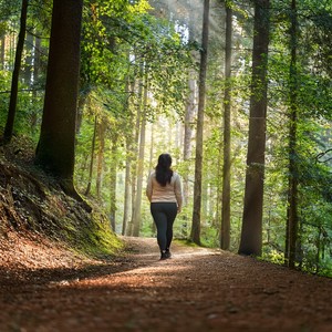 The Flow Of Gentle Raindrops