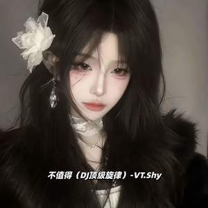 不值得-VT.Shy