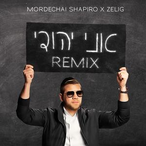 Ani Yehudi (feat. ZELIG) [REMIX]