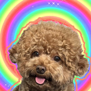 Lost Soul (龙卷进行曲)