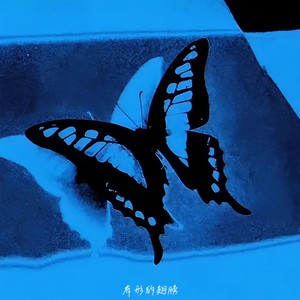 有形的翅膀