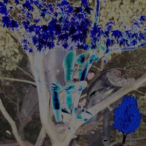 MIDNIGHT (feat. BlueYoda) (Explicit)