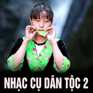 Nhạc cụ dân tộc 2