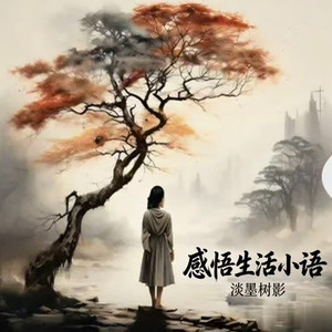16最好的孝顺，是陪伴 (DJ长音频) - 淡墨树影封面