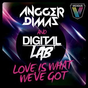 Love is What We've Got (Original Mix)