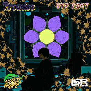 Promise (VIP Edit)