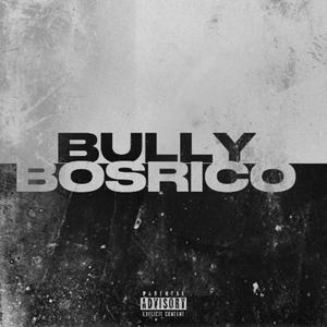 Bully (Explicit)