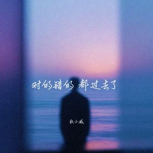 权小威 - 强强联手从未败过 (超燃旋律)