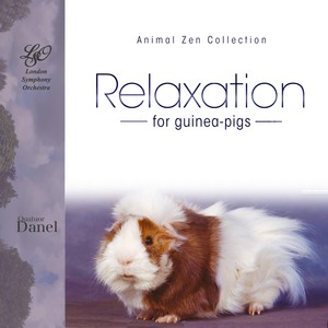 Relaxation for Guinea Pigs