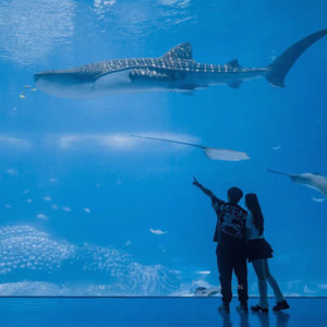 与你共度的晴朗