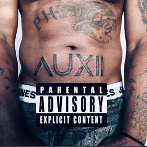 AuxiiFlow (Explicit)