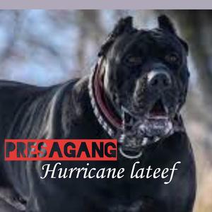 I Get Cash (feat. Money) (Explicit)