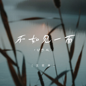不如见一面-王奕承