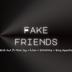 Fake Friends (Radio Edit)