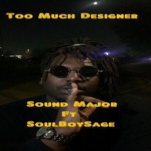 Too Much Designer (Explicit)