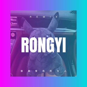 风雨人生路 (Remix)