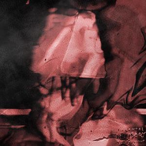 wrong impression (feat. 1of1 & MarzTLK) (Explicit)