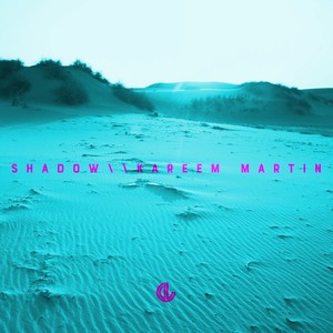 Shadow (Silverfilter Remix)