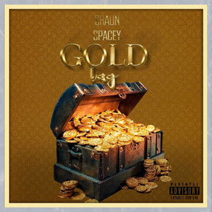 Gold Bag (Explicit)