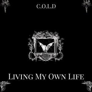 Living my own life (Explicit)