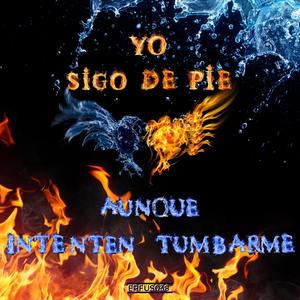 SIGO DE PIE (Explicit)