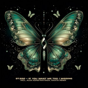 St.Ego - If You Want Me Too (Alex Konstantinov, Ranta Remix)