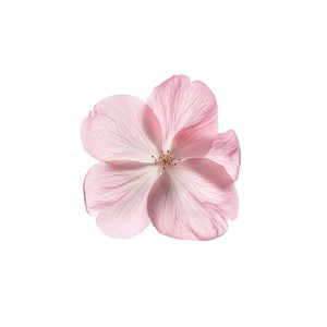 waiting for love (Explicit)