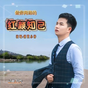 做你网络的红颜知己