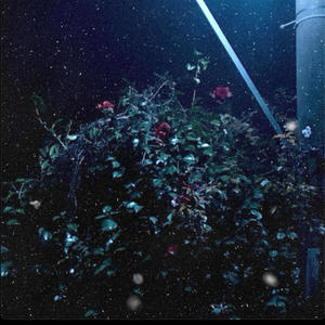 Malibu (feat. $adboi Crxw) (Explicit)