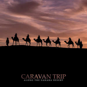 Caravan Trip Along the Sahara Desert