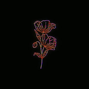 Ride or Die (feat. Encid) (Explicit)