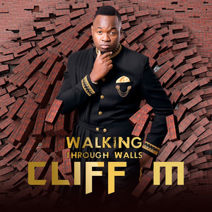 Walking Through Walls