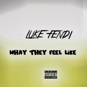 Whay They Feel Like (Explicit)